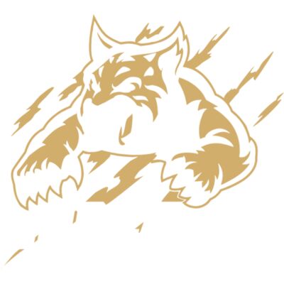 1281 Bobcats Thumbnail