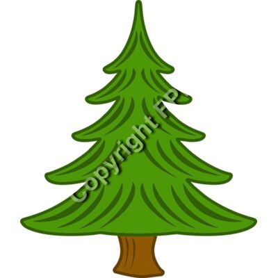 919 Pine Tree Thumbnail