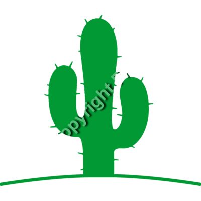 924 Cactus Thumbnail