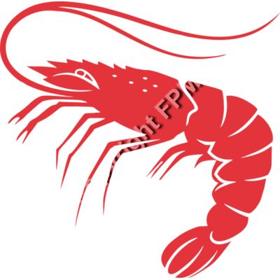 929 Shrimp Thumbnail