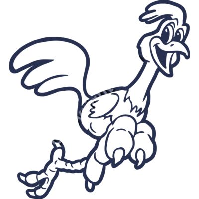 969 Roadrunnr Thumbnail