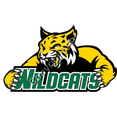 962 Wildcats Thumbnail