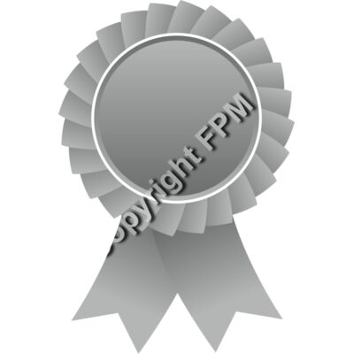 629 Silver Ribbon Thumbnail