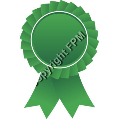 628 Green Ribbon Thumbnail