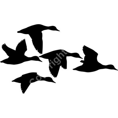 1063 Ducks Thumbnail