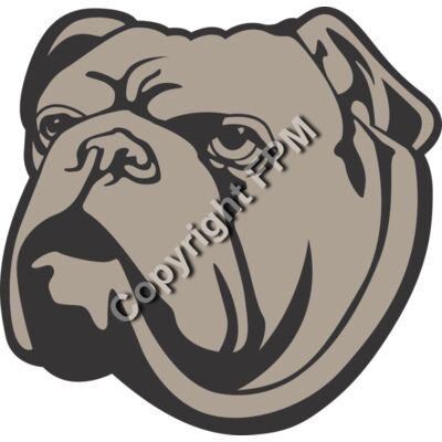 1309 Bulldog Thumbnail