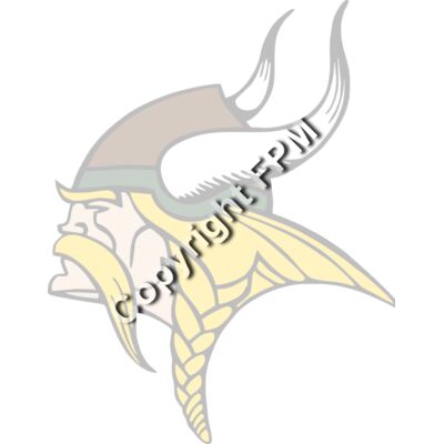 994 Viking Thumbnail