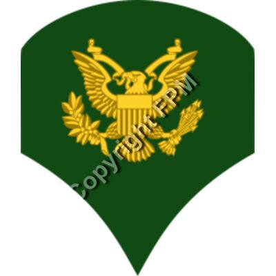 203 Specialist Thumbnail