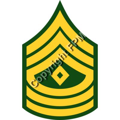 207 First Sergeant Thumbnail