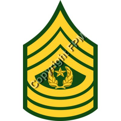 209 Command Sergeant Thumbnail