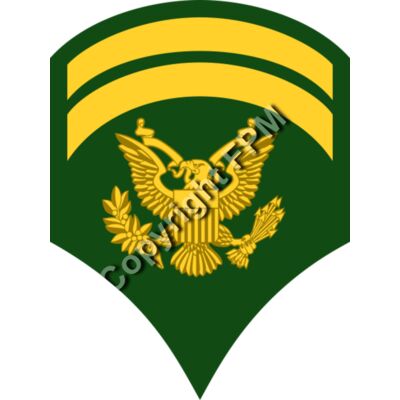 212 Specialist Thumbnail