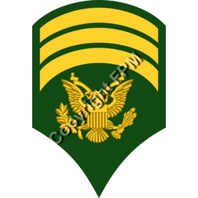 213 Specialist Thumbnail