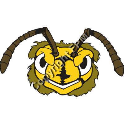 109 Bee Face Thumbnail