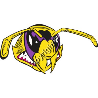 114 Bee Face Thumbnail