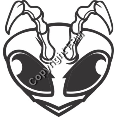 139 Bee Head Thumbnail