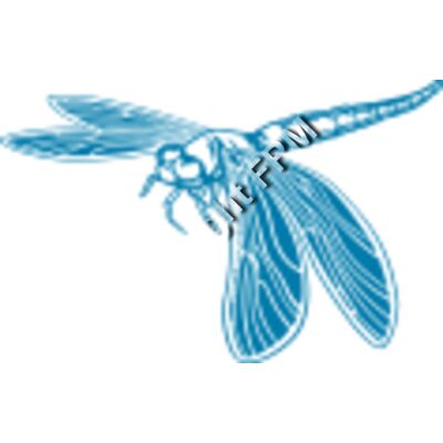 509 Dragonfly Thumbnail