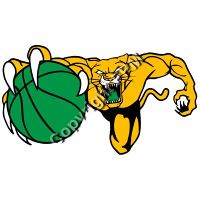 515 Cougar Basketball Thumbnail