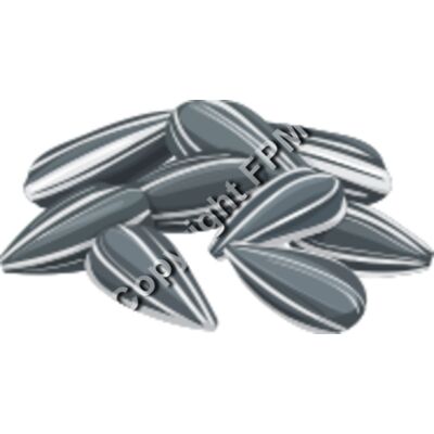 156 Sunflower Seeds Thumbnail