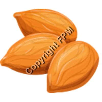 158 Almond Thumbnail