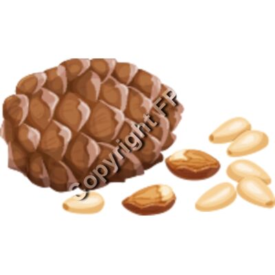 163 Pine Nuts Thumbnail