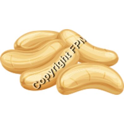 164 Cachews Thumbnail