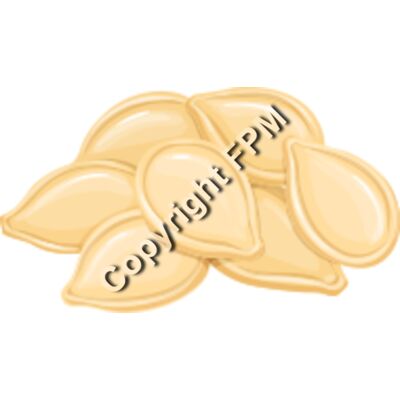 166 Pumpkin Seeds Thumbnail