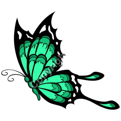 530 Butterfly Thumbnail