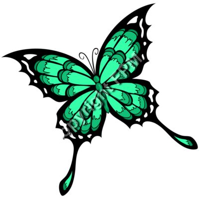 531 Butterfly Thumbnail