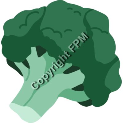 152 Broccoli Thumbnail