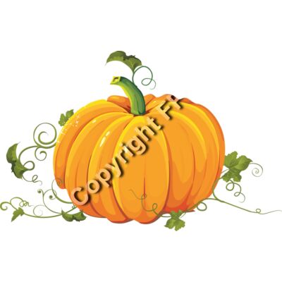 253 Pumpkin Thumbnail