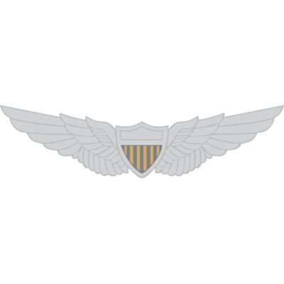 9004 Army Wings Thumbnail