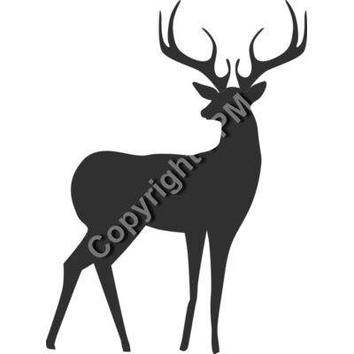 802 Deer Thumbnail