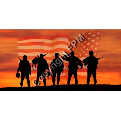 598 Military Salute Thumbnail