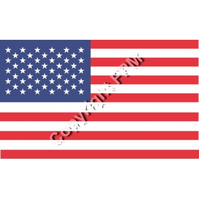 825 Pledge Allegiance Thumbnail