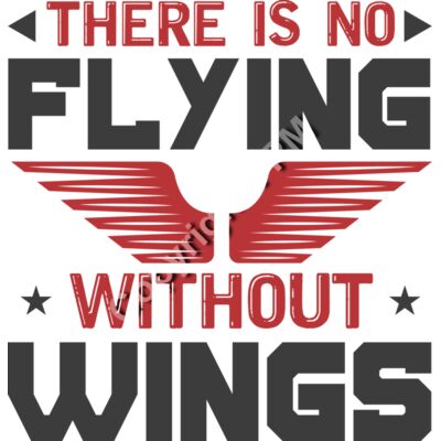 9032 There is no flying Thumbnail