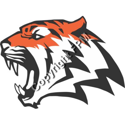 8093 Tiger Thumbnail