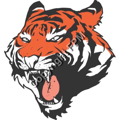 8094 Tiger Thumbnail