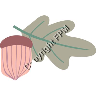 1321 Acorn Thumbnail