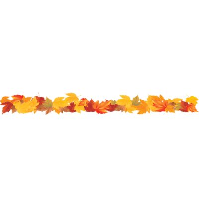 250 Fall Leaves Border Thumbnail