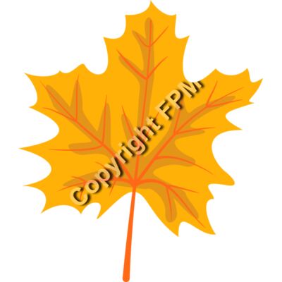 259 Maple Leaf Thumbnail