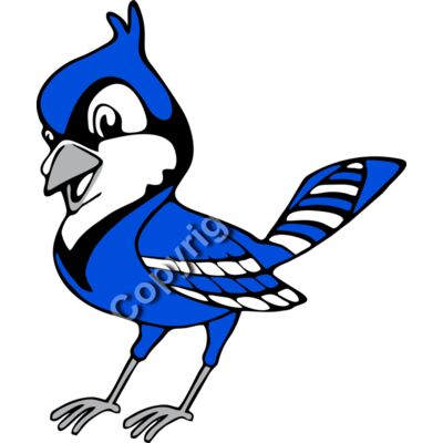 1029 Jay Birds Thumbnail