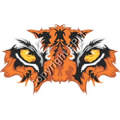 8070 Tiger Eyes Thumbnail