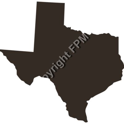 43 Texas Thumbnail