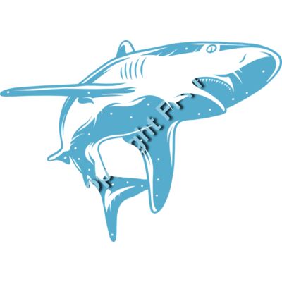 A1095 Shark Thumbnail