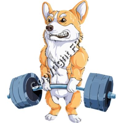 A1203 Fitness Thumbnail