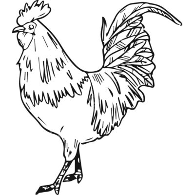 A1204 Chicken Thumbnail