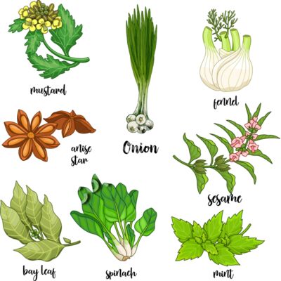 A1232 Herbs Thumbnail