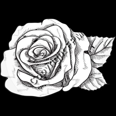 A1274 Rose Thumbnail