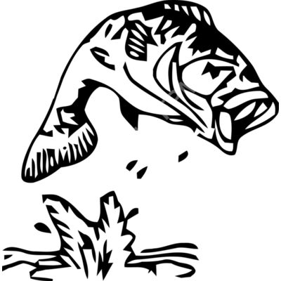 A1321 Trout Thumbnail