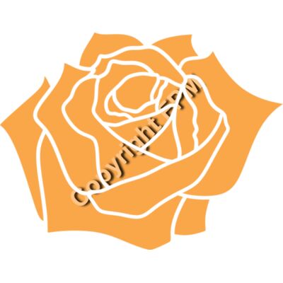 A1329 Rose Thumbnail